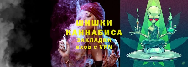 PSILOCYBIN Абдулино