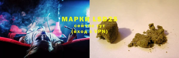 PSILOCYBIN Абдулино