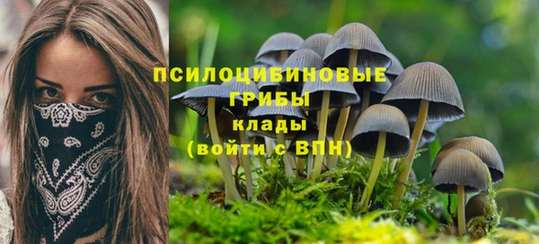 PSILOCYBIN Абдулино