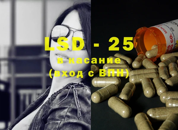 PSILOCYBIN Абдулино