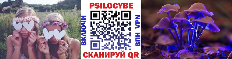 Галлюциногенные грибы мицелий  Кировград 
