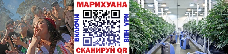 дарнет шоп  Кировград  Канабис AK-47 